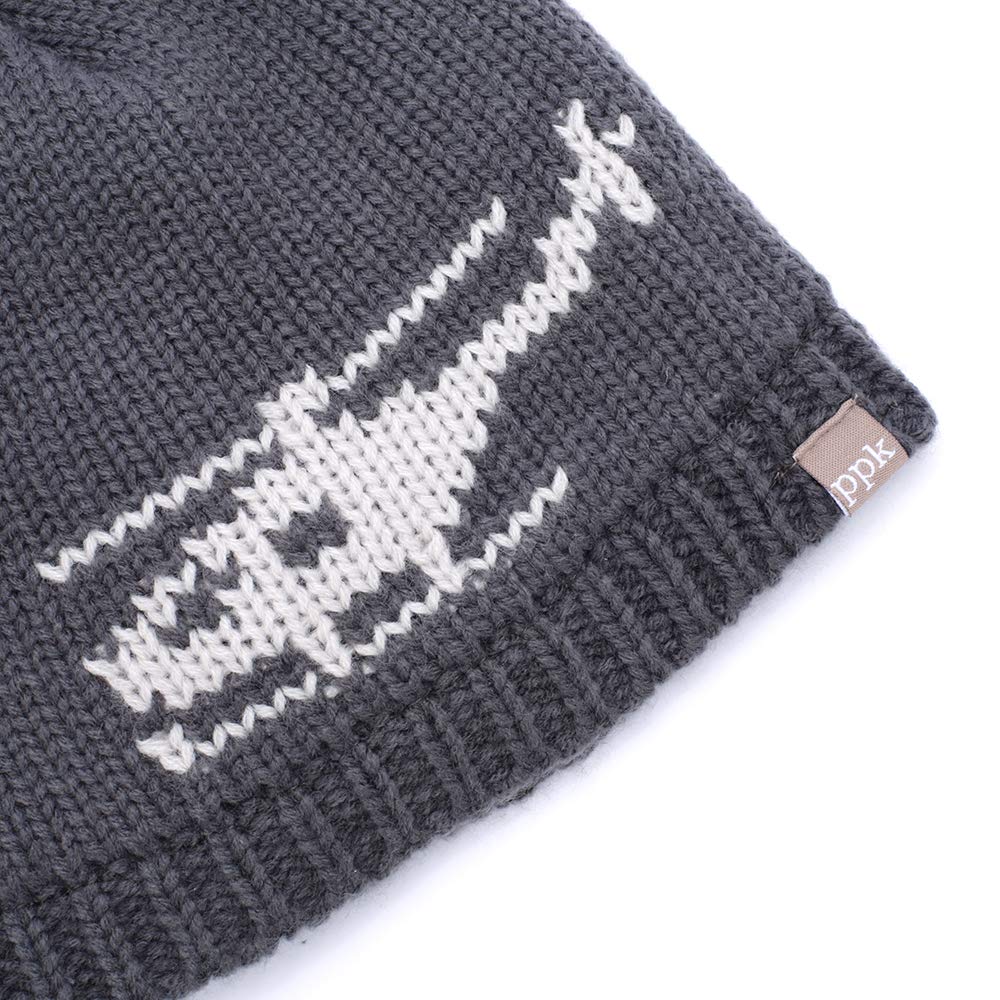 Boys Knit Beanie Hat (Warm Fleece-Lined) - Toddler, Small Kid- 1 to 6 Years
