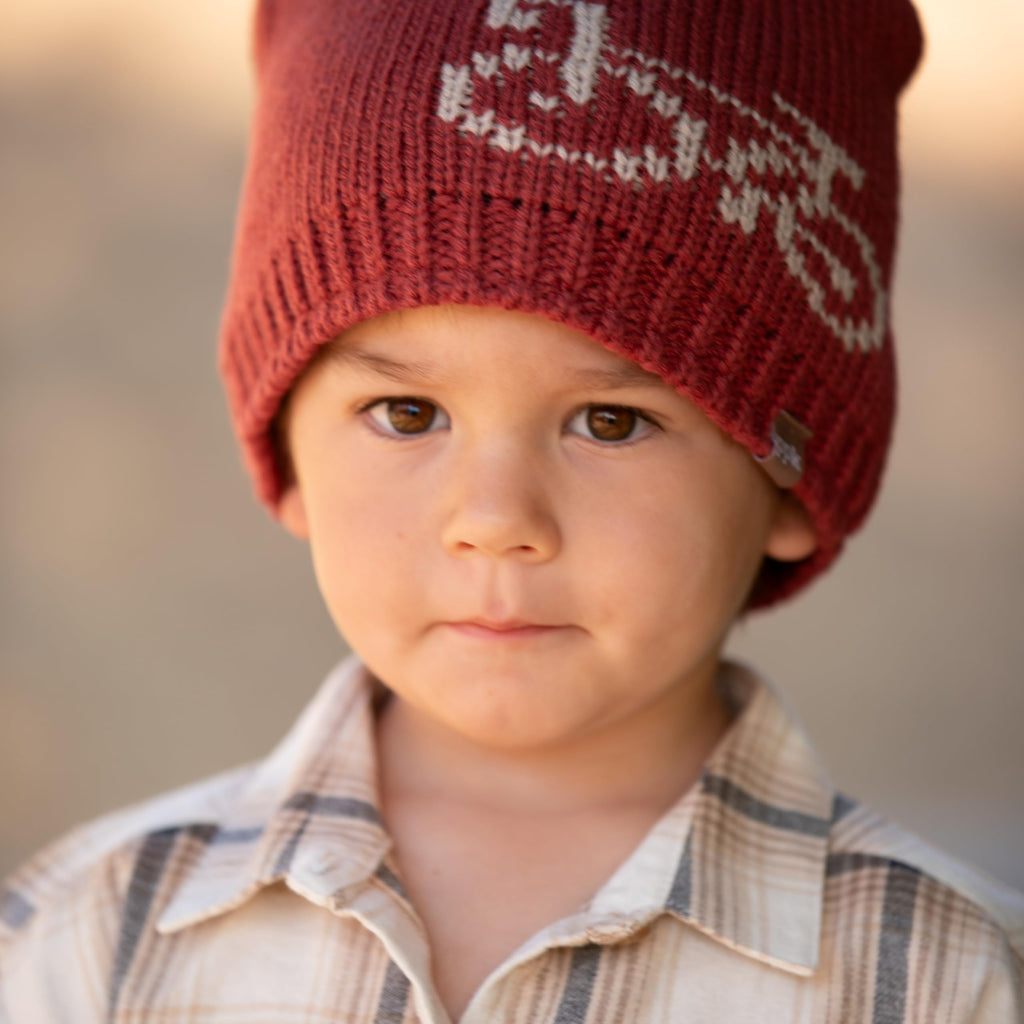 Boys Knitted Beanie Hat (Warm Fleece-Lined) - Baby, Toddler and Small Boys - 1 to 6 Years